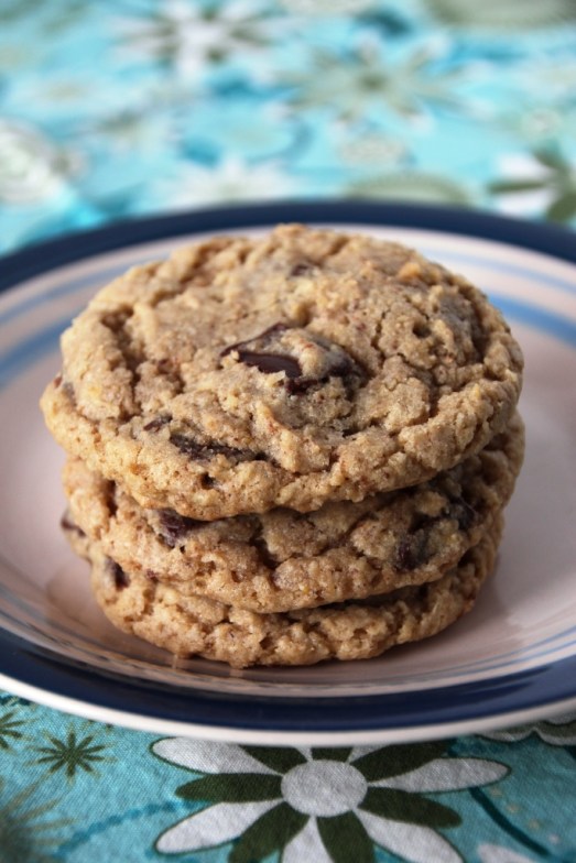 Oatmeal Chocolate Chunk Cookies {{Baking Bytes}}