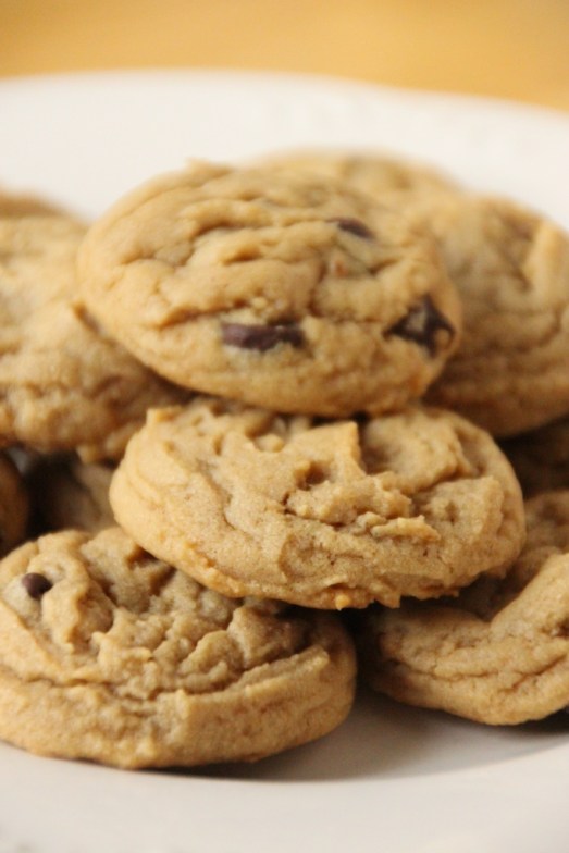 Peanut Butter Chocolate Chip Cookies {{Baking Bytes}}