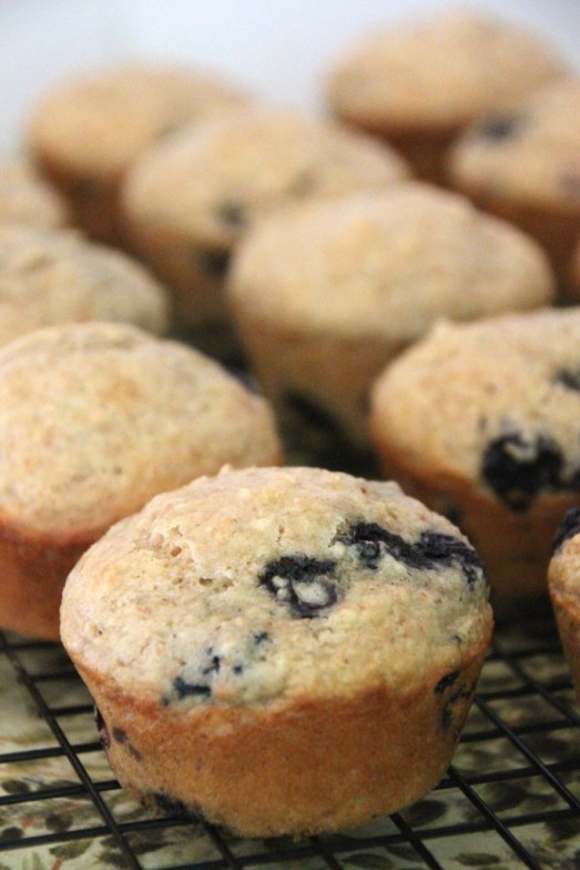 Energizing Oatmeal Blueberry Muffins {{Baking Bytes}}