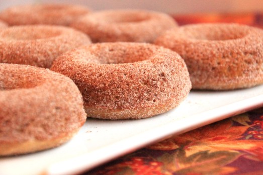 Baked Apple Cider Donuts {{Baking Bytes}}