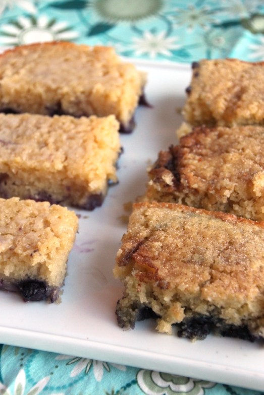 Blueberry Boy Bait {{Baking Bytes}}