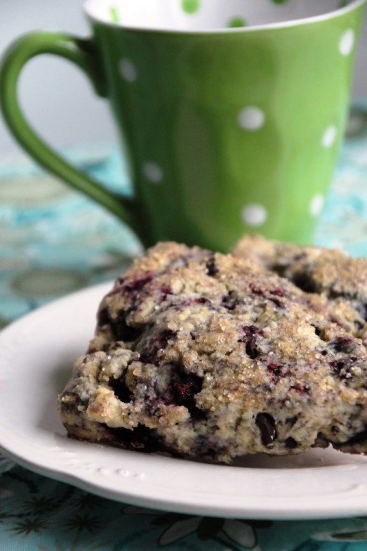 Blackberry Dark Chocolate Chip Scones {{Baking Bytes}}