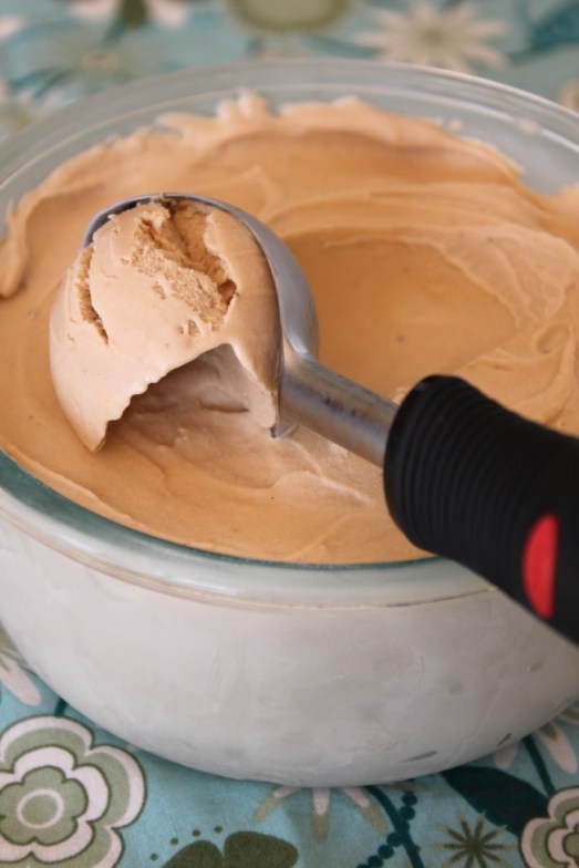 Peanut Butter Banana Ice Cream {{Baking Bytes}}