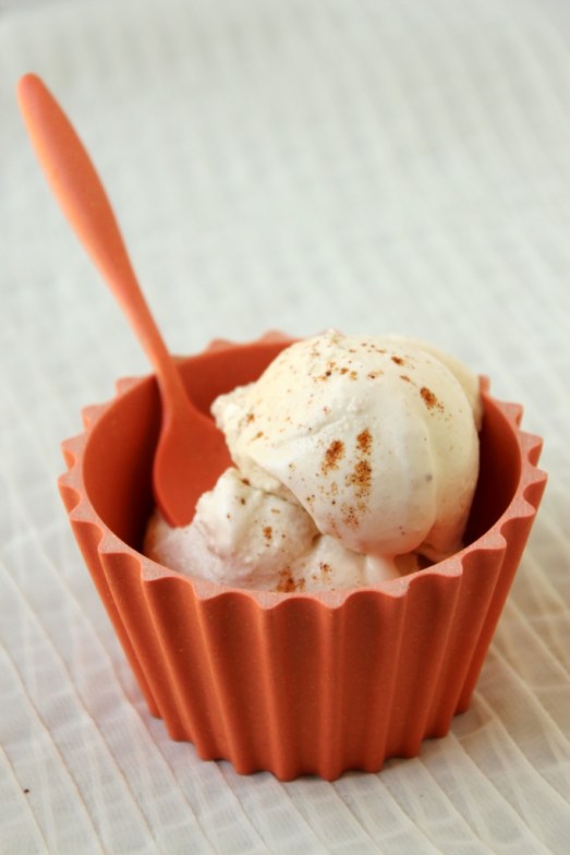 Maple Chipotle Ice Cream {{Baking Bytes}}