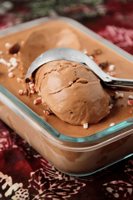 Peppermint Mocha Ice Cream {{Baking Bytes}}