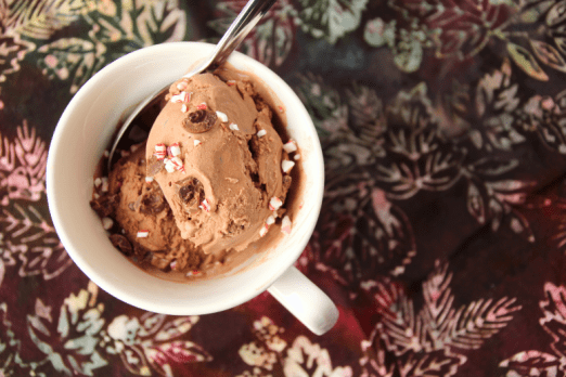 peppermint_mocha_ice_cream_5